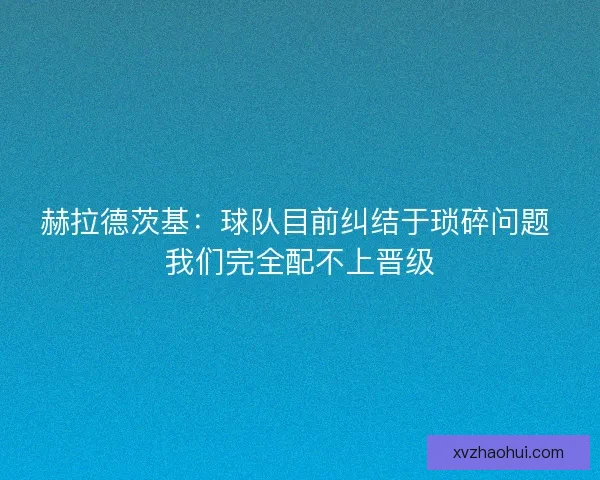 赫拉德茨基：球队目前纠结于琐碎问题 我们完全配不上晋级